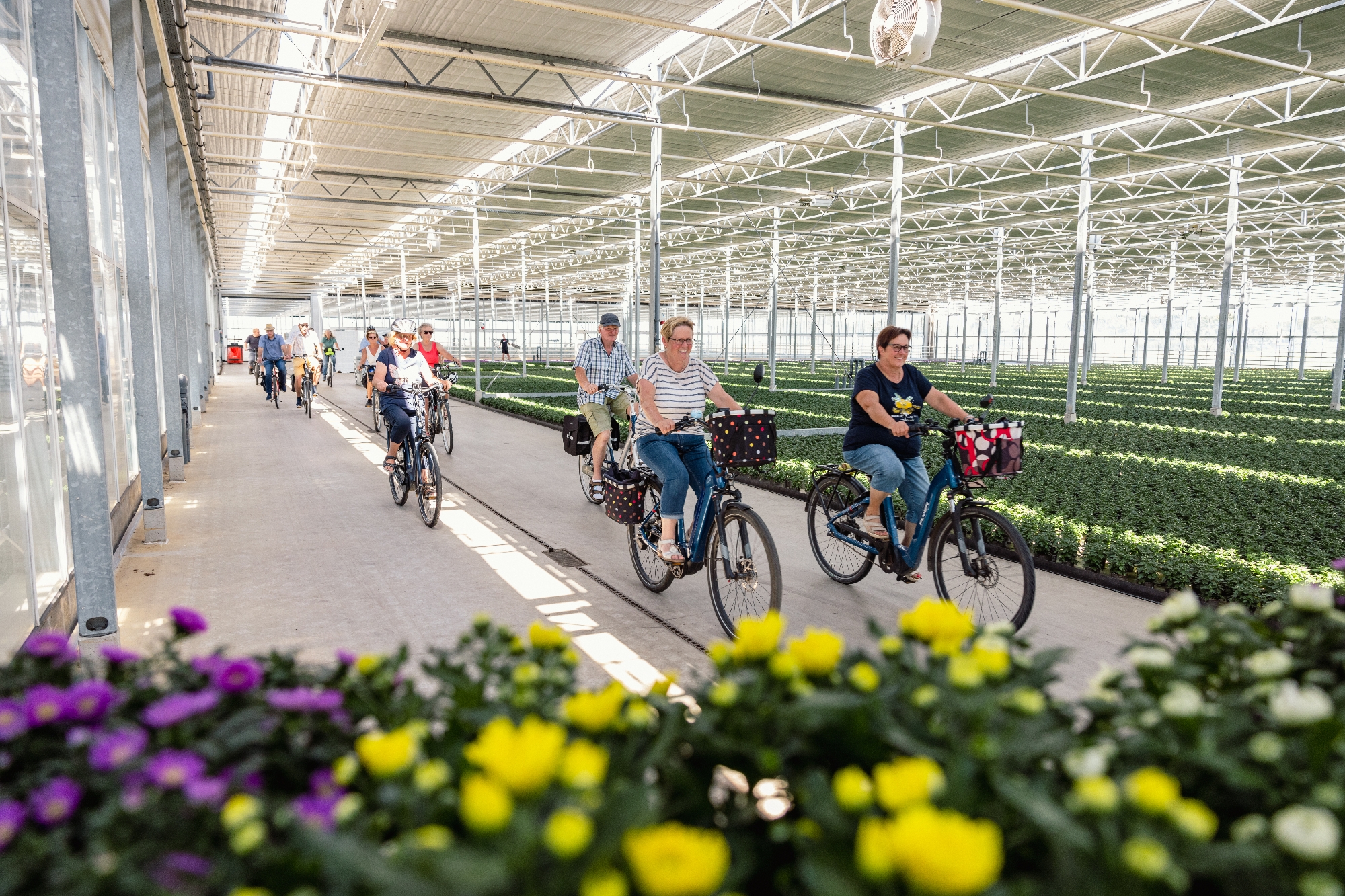 Städte & Gemeinden >  | Wirtschaftsförderung Kreis Kleve