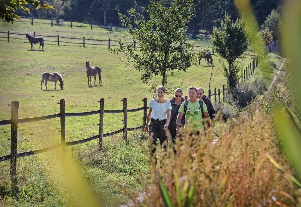 Hiking >  | Wirtschaftsförderung Kreis Kleve